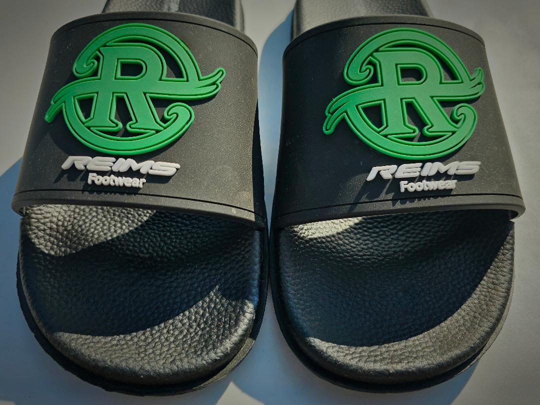 REIMS Slides